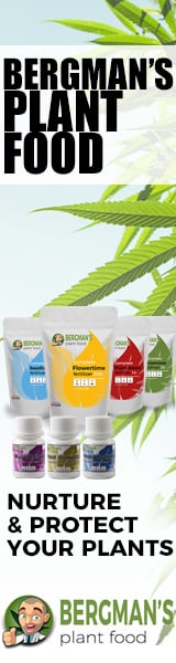 cannabis nutrients